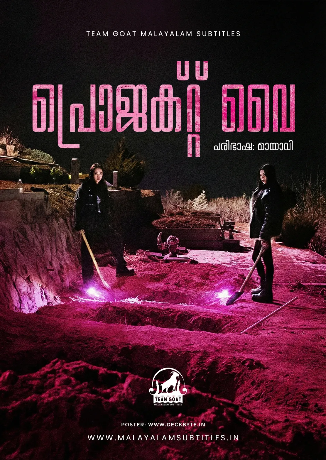 PROJECT Y – പ്രൊജക്റ്റ് വൈ (2025) poster